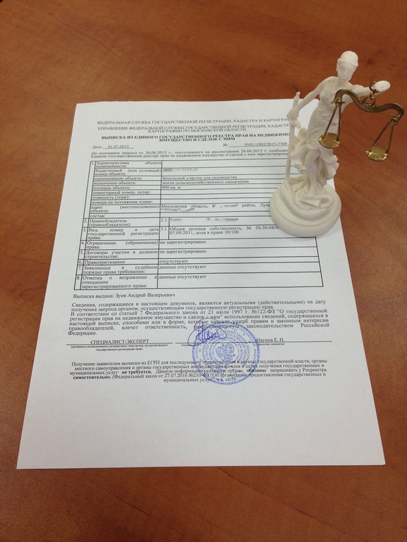 Виписка з ЕГРЮЛ в Красногорську   вдає із себе офіційний, юридично значимий документ, що містить в собі відомості про юридичну особу, його місцезнаходження, засновників, видах діяльності, виконавчому органі