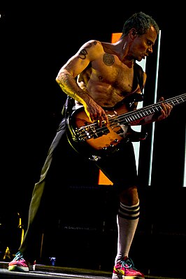 Майкл Белзарі   Michael Balzary   Флі виступає з   Red Hot Chili Peppers   на концерті в   Пруденшал-центрі   в   Ньюарку   використовуючи свою гітару   Modulus