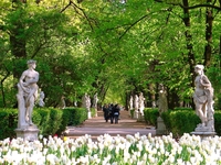 До філій також відносяться Михайлівський і   Літній сад   (Включаючи будиночок   Петра   Великого і його Літній палац)