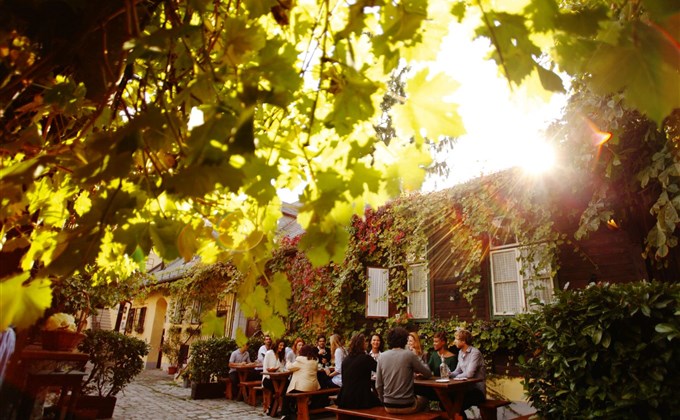 Венское вино - один из самых важных ароматов города, особенно местное фирменное блюдо Wiener Gemischte Satz, которое лучше всего подавать в традиционной таверне Heuriger