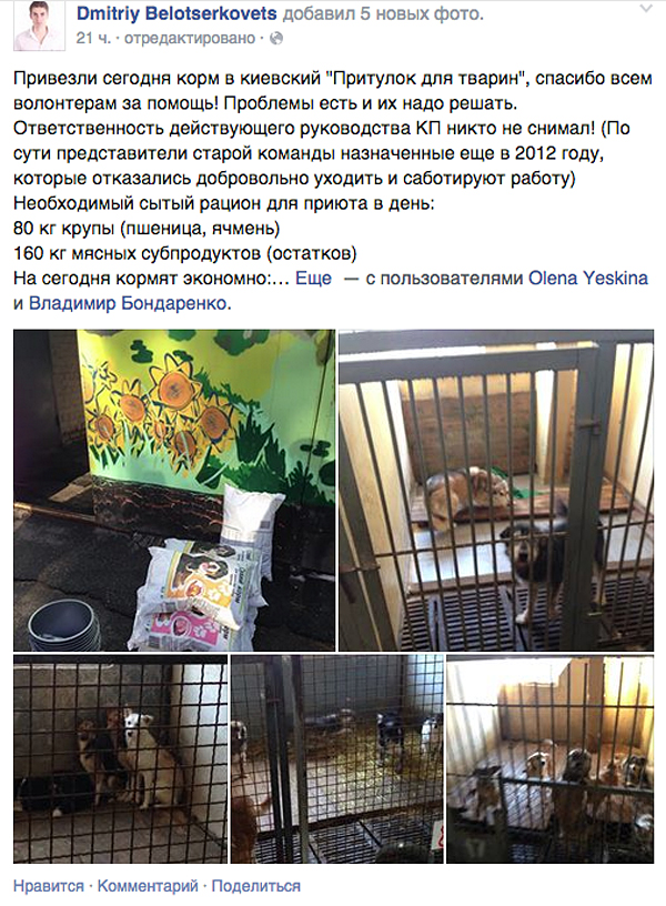 Животные того же приюта глазами главы Департамента благоустройства КГГА Дмитрия Белоцерковца