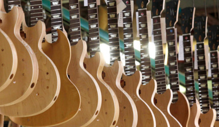 Одними з найбільш популярних виробників гітар є фірми «Gibson,« Dean »,« PRS »,« Ibanez »,« Jackson »,« Fender »,« Martin »,« Gretsch »,« Hohner »,« Takamine »,« Strunal » , «Furch», «Almansa», «Amistar», «Godin» та інші