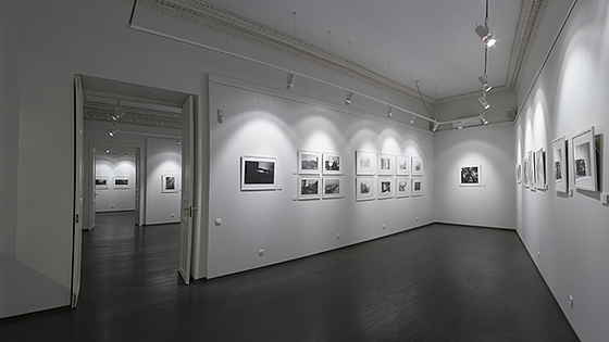 Галерея сучасного мистецтва з виставками видних петербурзьких авторів