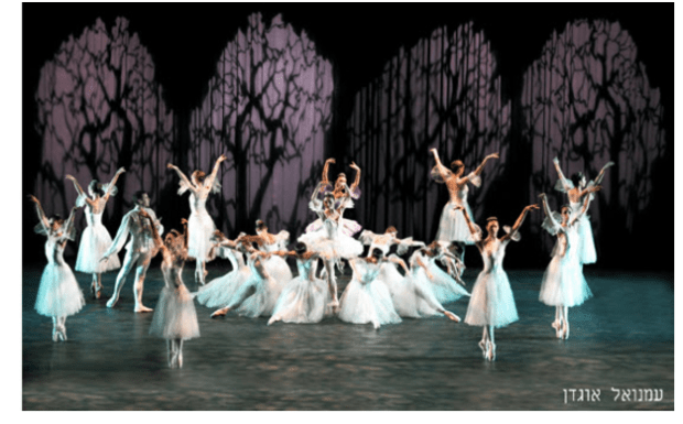 У дні Хануки, в грудні 2016 року трупа Ізраїльського балету покаже 14 вистав Спляча красуня Чайковського