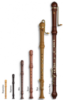 Блокфлейта - старовинний духовий музичний інструмент з досить великою історією розвитку, одна з різновидів поздовжніх флейт